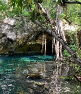 Imagem de Cenote em viagem a Tulum no México - Pacote de Viagem Extrema Viagens